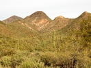 photo thumbnail #2