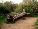 photo thumbnail #9