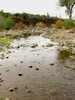 photo thumbnail #15