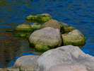 photo thumbnail #15