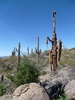 photo thumbnail #8