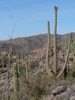 photo thumbnail #14