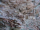 photo of comment