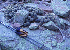 photo thumbnail #11