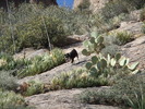 photo thumbnail #8