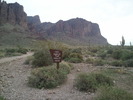 photo thumbnail #1