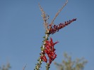 photo thumbnail #3