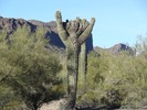 photo thumbnail #5
