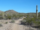 photo thumbnail #10