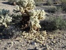 photo thumbnail #11