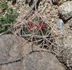 photo thumbnail #15