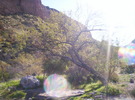 photo thumbnail #2