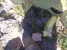 photo thumbnail #8