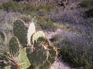 photo thumbnail #9