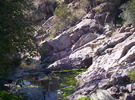 photo thumbnail #12