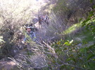 photo thumbnail #15