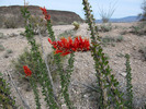 photo thumbnail #6