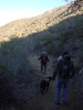 photo thumbnail #3