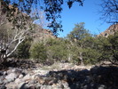 photo thumbnail #4