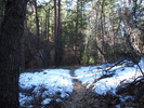photo thumbnail #5
