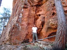 photo thumbnail #9