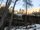 photo thumbnail #11