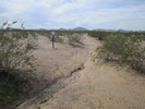photo thumbnail #8