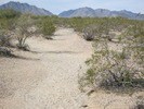 photo thumbnail #10