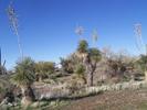 photo thumbnail #4