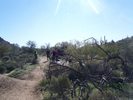 photo thumbnail #7