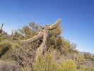 photo thumbnail #9