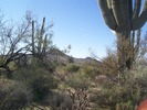 photo thumbnail #10