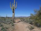 photo thumbnail #12