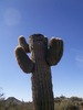 photo thumbnail #13