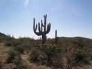 photo thumbnail #14