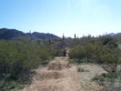 photo thumbnail #15