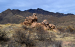 photo thumbnail #2