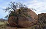 photo thumbnail #3