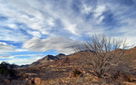 photo thumbnail #8