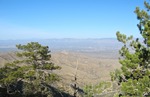 photo thumbnail #9