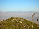 photo thumbnail #14