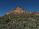 photo thumbnail #1