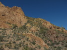 photo thumbnail #5