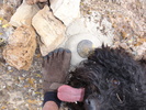 photo thumbnail #5