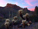 photo thumbnail #1