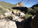photo thumbnail #5