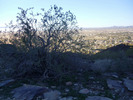 photo thumbnail #4