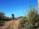 photo thumbnail #6