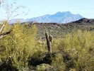 photo thumbnail #7
