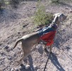 photo thumbnail #8